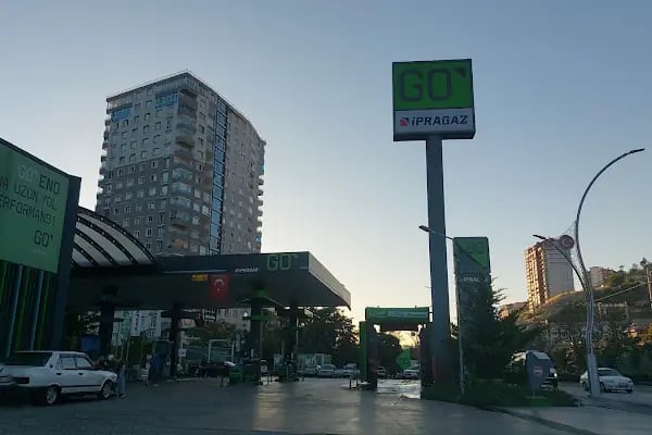 Go - Resim 11
