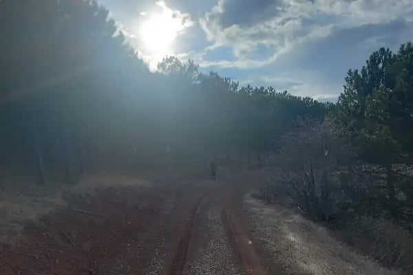 Karşıyaka Tabiat Parkı - Resim 19