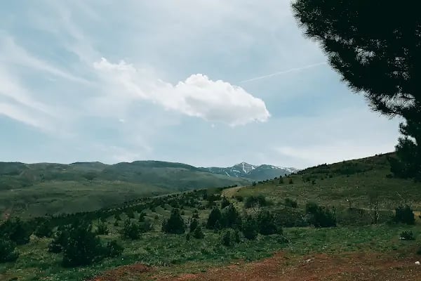 Karşıyaka Tabiat Parkı - Resim 12