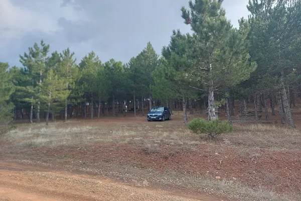 Karşıyaka Tabiat Parkı - Resim 4