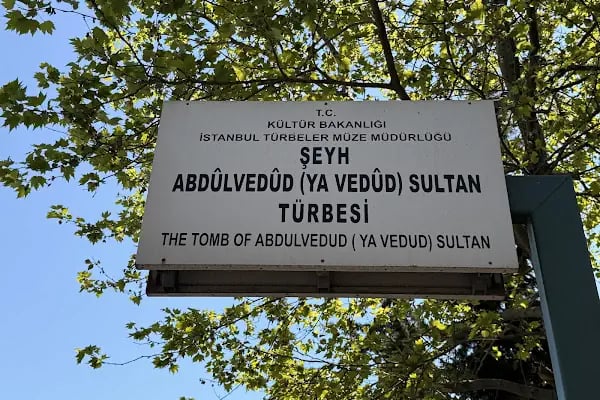 Şeyh Abdülvedüt Sultan Türbesi - Resim 10