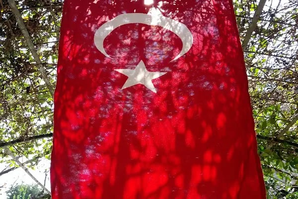 Şeyh Abdülvedüt Sultan Türbesi - Resim 11