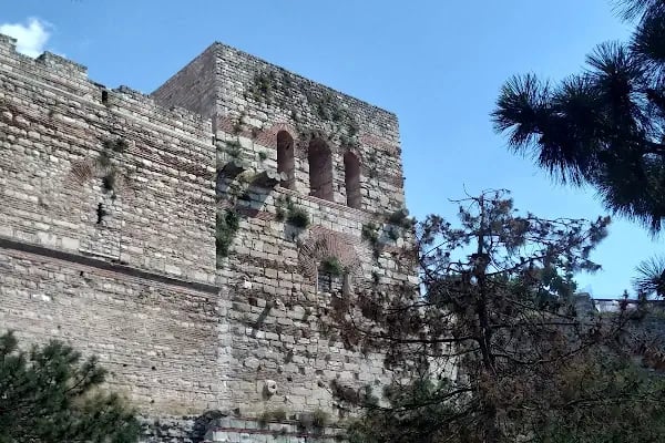Şeyh Abdülvedüt Sultan Türbesi - Resim 19