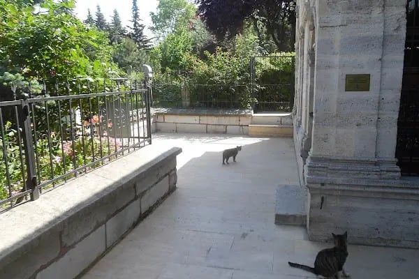 Şeyh Abdülvedüt Sultan Türbesi - Resim 13