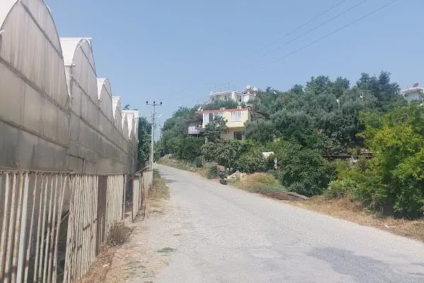 Alanya Homes - Resim 5