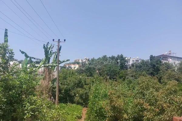 Alanya Homes - Resim 3