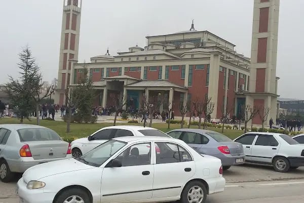 Nayman orman ürünü İnegöl Organize Sanayi Bölgesi - Resim 6