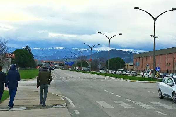 Nayman orman ürünü İnegöl Organize Sanayi Bölgesi - Resim 20