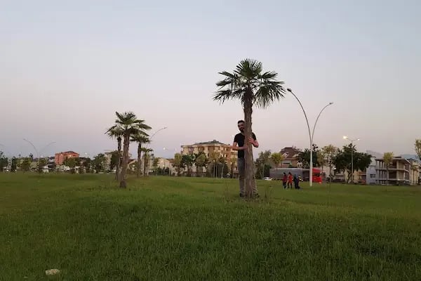 Nayman orman ürünü İnegöl Organize Sanayi Bölgesi - Resim 5