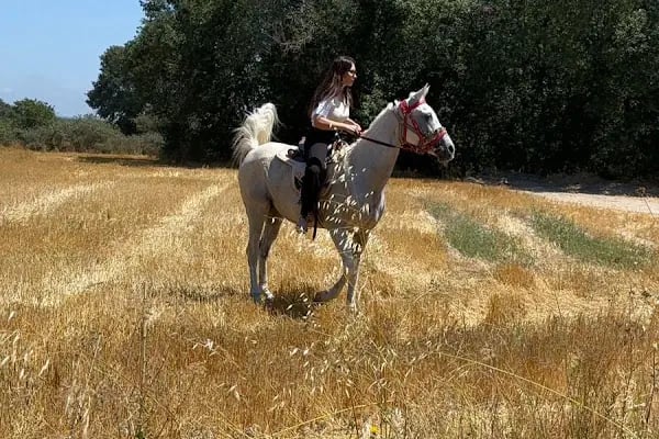 Hanımın çiftliği - Resim 7