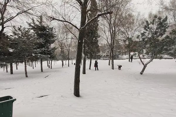 Küçükçekmece Belediyesi Şehit Berkay Işık Parkı - Resim 8