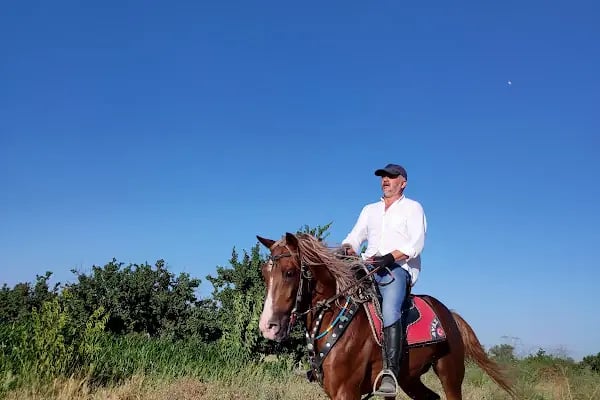 Konya At Çiftliği - Resim 5
