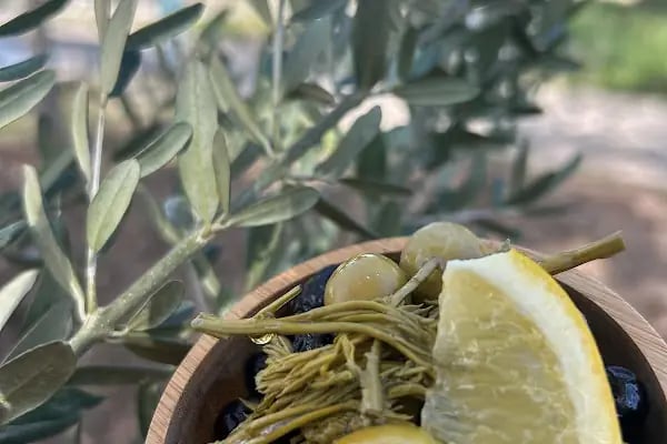 Kırklar Çınaraltı Çeşme Cafe - Resim 14