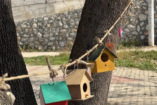 Kırklar Çınaraltı Çeşme Cafe - Resim 12