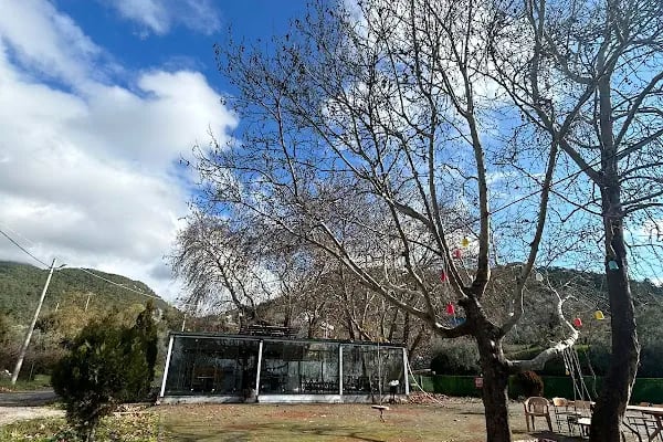 Kırklar Çınaraltı Çeşme Cafe - Resim 8