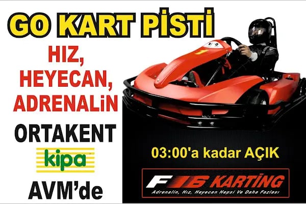 Go-cart - Resim 12