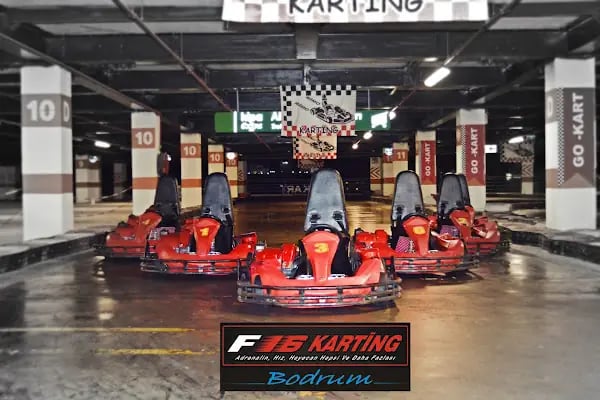 Go-cart - Resim 20