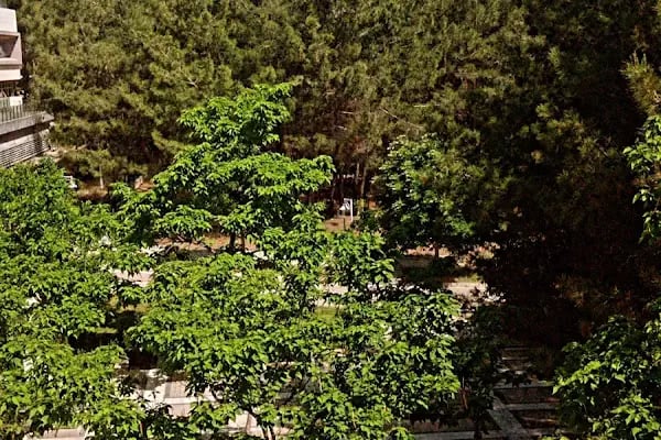 Menteşe Kütüphanesi | Muğla Sıtkı Koçman Üniversitesi - Resim 10