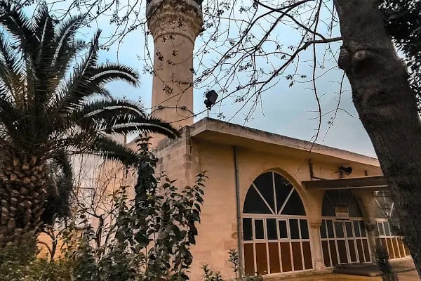 Saha Cami - Resim 7