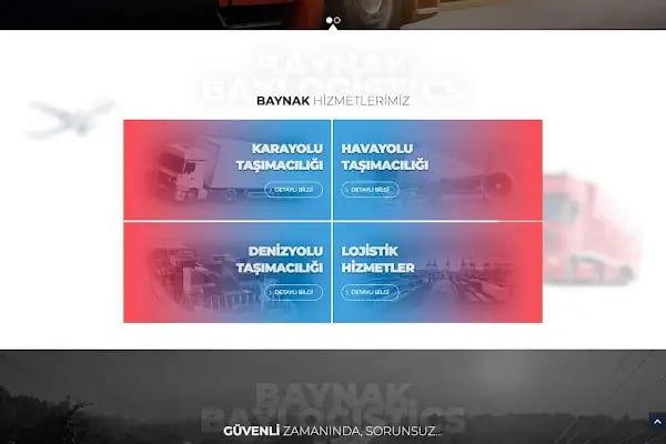 Web Tasarım ve Dijital Pazarlama: Mustafa BAL - Resim 7