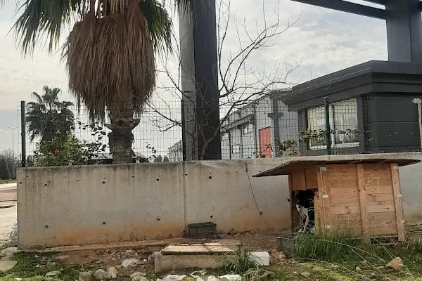 Doka Plastik ve Kalıp Otomotiv A.Ş. - Resim 1
