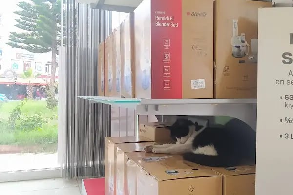 Karadağ Ticaret - Arçelik Bayii - Resim 12