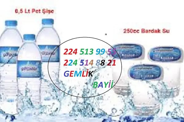 Gürpınar su gemlik - Resim 19