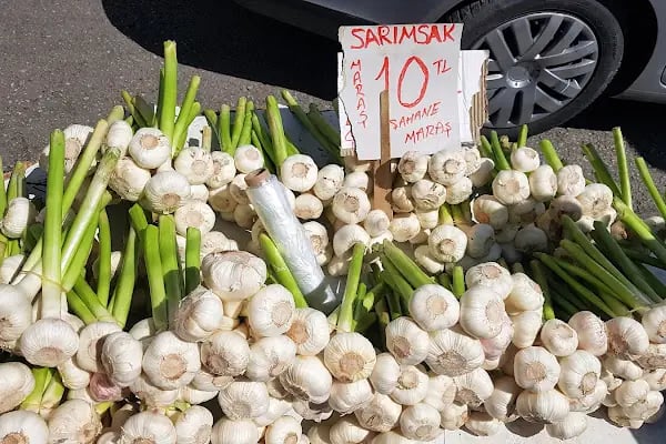 Karaçaylar Sebze Meyve Sergisi - Resim 7