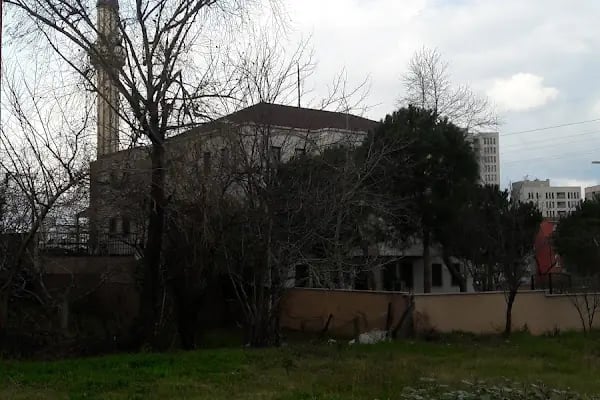 Kanuni Sultan Süleyman Cami - Resim 19