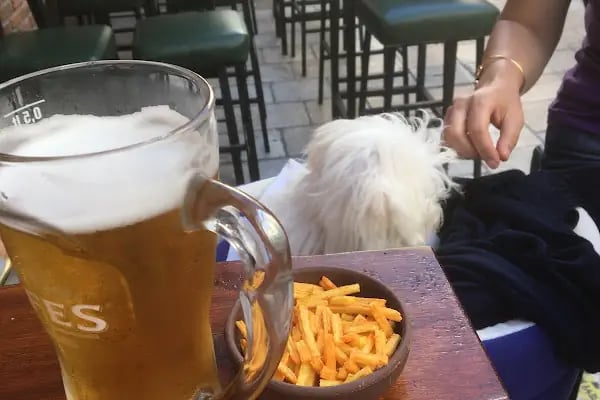 Çakıl Pub - Resim 17