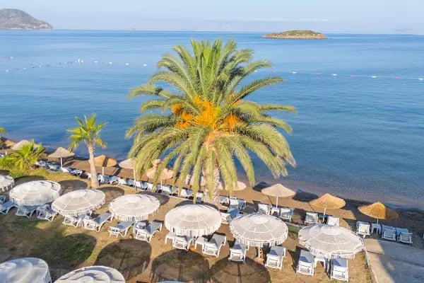 Ladonia Hotels Luna Beach Resort - Resim 17