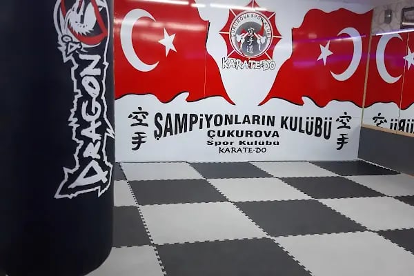Çukurova Karate Spor Kulübü ADANA - Resim 5