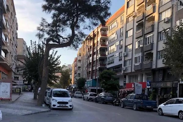 Uzman Diyetisyen Cahide Tankı Beslenme ve Diyet Danışmanlığı - Resim 6
