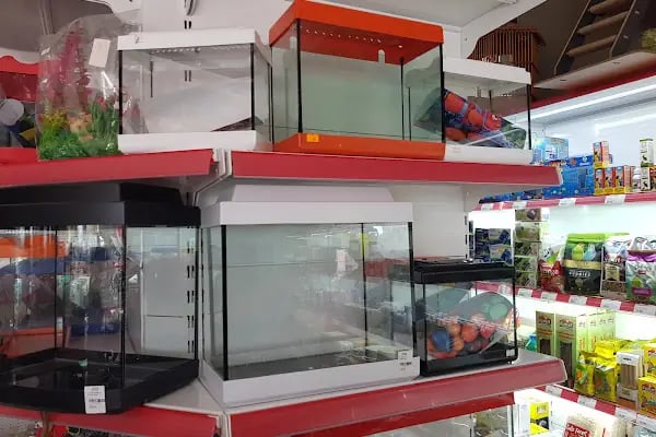ALİ BABANIN ÇİFTLİĞİ PETSHOP - Resim 13