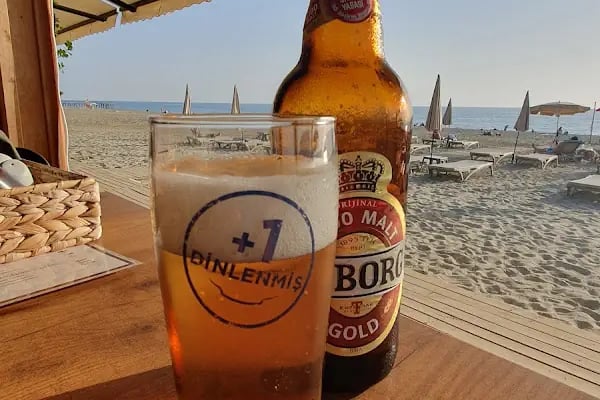 Flex Beach Oba No: 32 - Resim 17