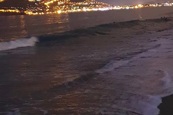 Flex Beach Oba No: 32 - Resim 19