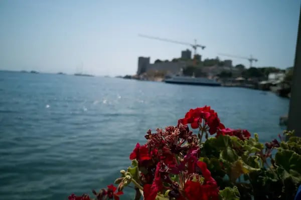 Moya Wine&Dine Bodrum Marina - Resim 20