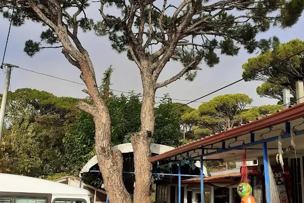 Altıntaş İlkokulu - Resim 5