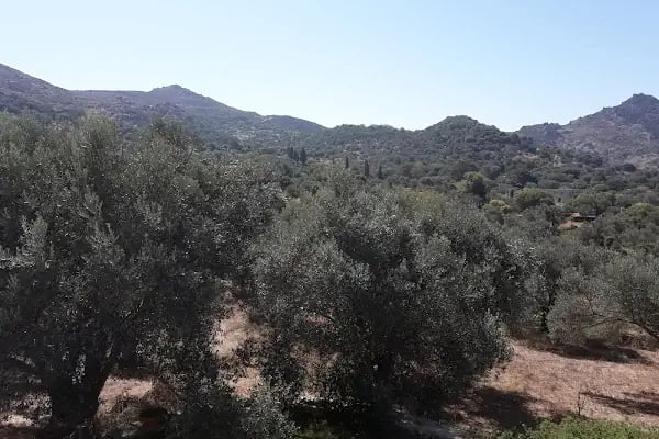 Akçaalan Mahallesi - Resim 10