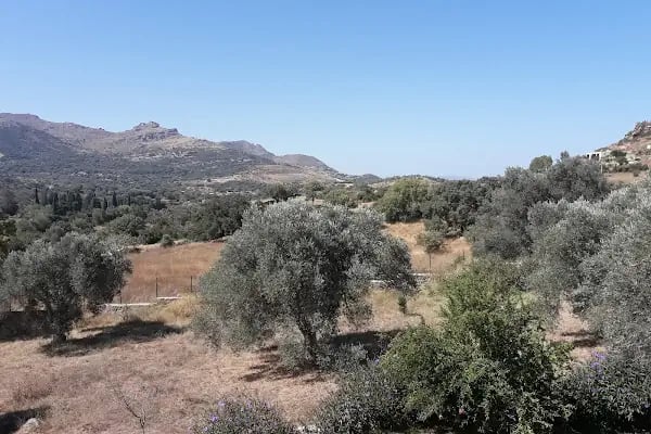 Akçaalan Mahallesi - Resim 12
