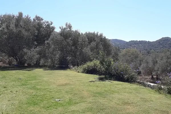 Akçaalan Mahallesi - Resim 13