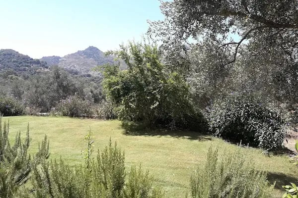 Akçaalan Mahallesi - Resim 4
