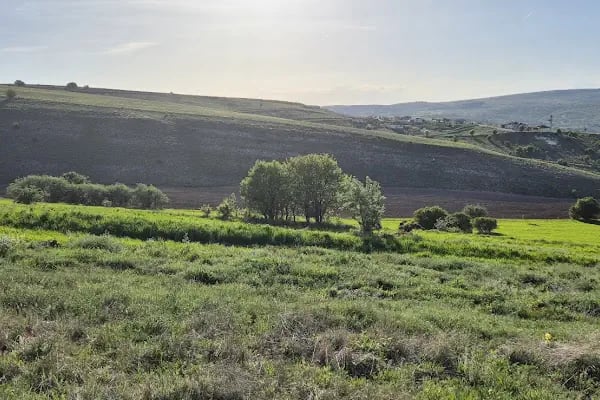 Başbereket Yayla Evleri - Resim 11