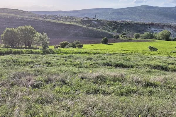 Başbereket Yayla Evleri - Resim 10