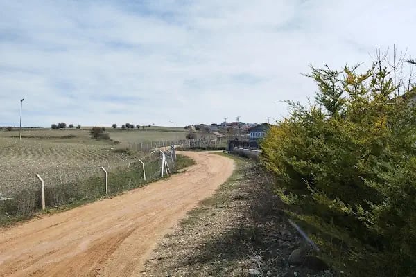 Başbereket Yayla Evleri - Resim 4