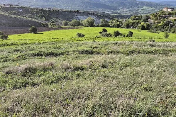 Başbereket Yayla Evleri - Resim 9