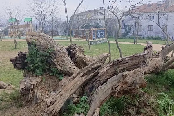 Eyüp Sultan Seyir Terası - Resim 14