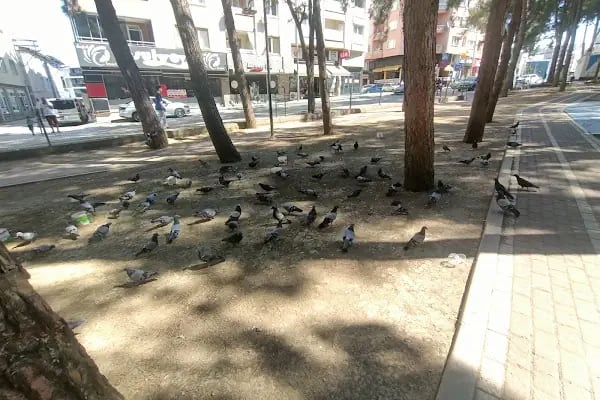 Fethiye Çocuk Oyun Parkı - Resim 16