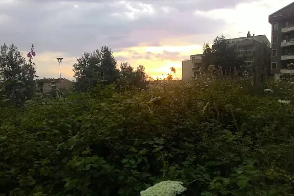 Fethiye Çocuk Oyun Parkı - Resim 17