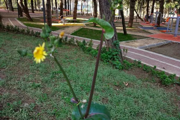 Fethiye Çocuk Oyun Parkı - Resim 13